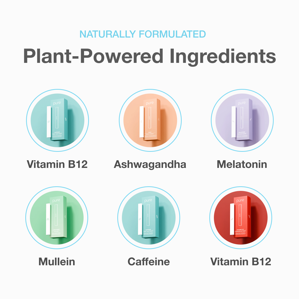 The Complete Set Special